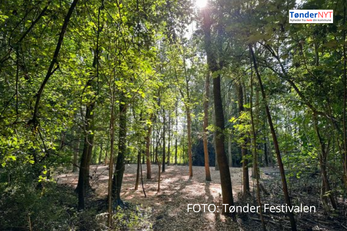 Tønder Festival præsenterer nyt område